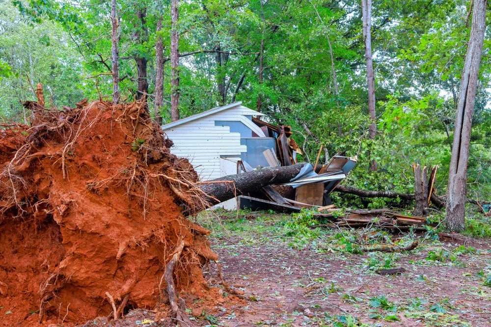 Residential property demolition site in Edmonton with fallen trees and structural debris